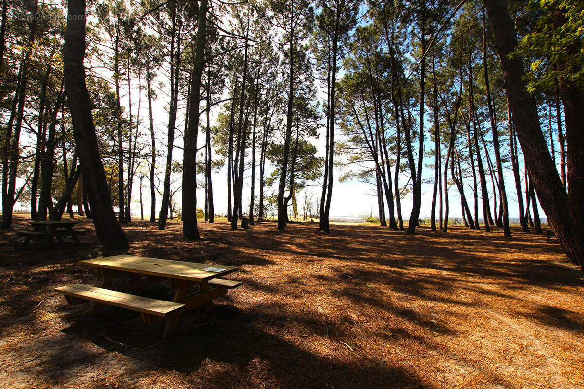 Terrain à ARES