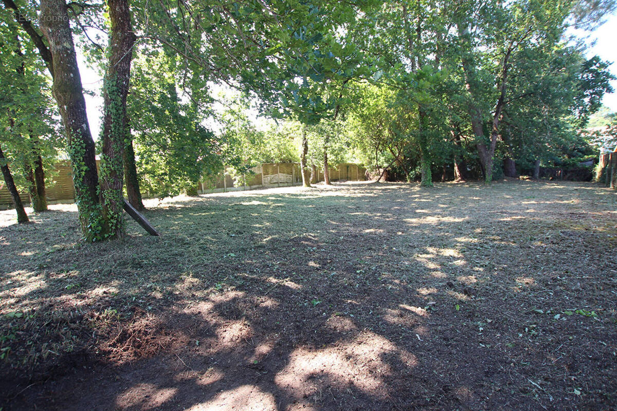 Terrain à ARES