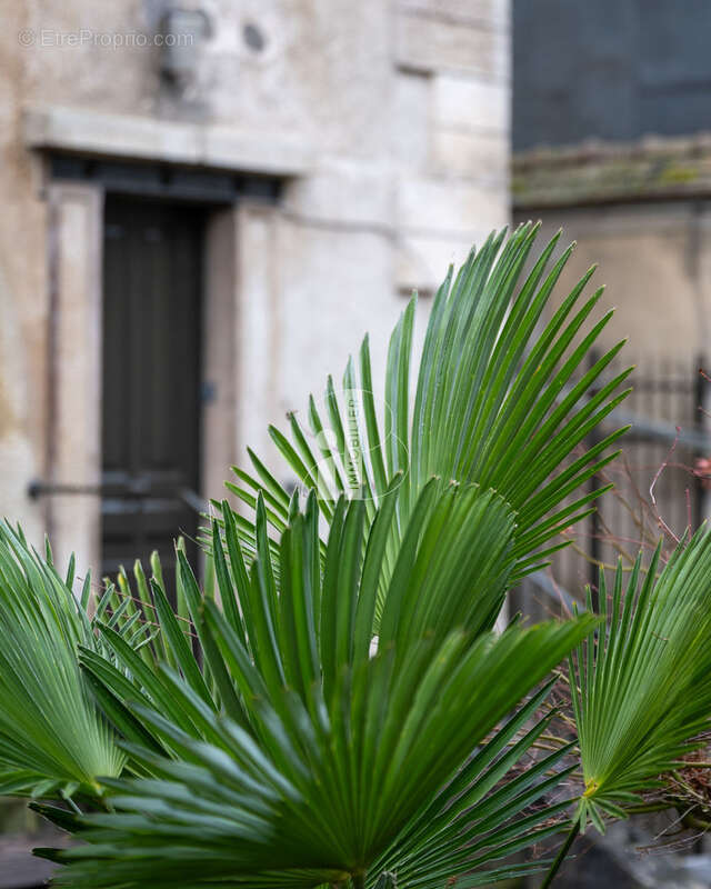 Maison à FONTAINEBLEAU