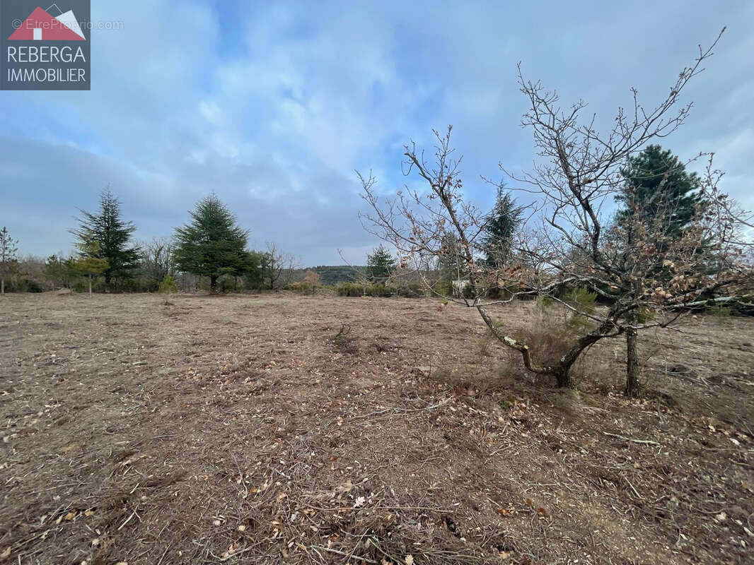 Terrain à VILLANIERE