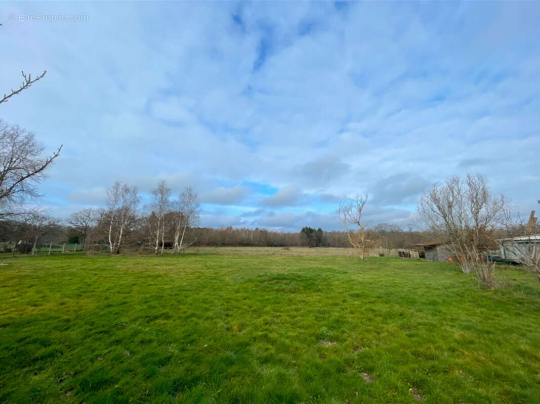 Terrain à LA FERTE-SAINT-AUBIN