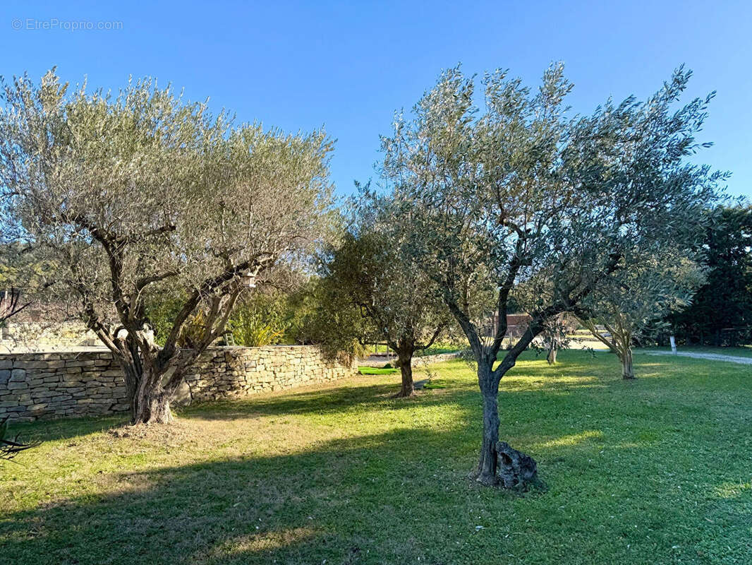 Maison à VAISON-LA-ROMAINE