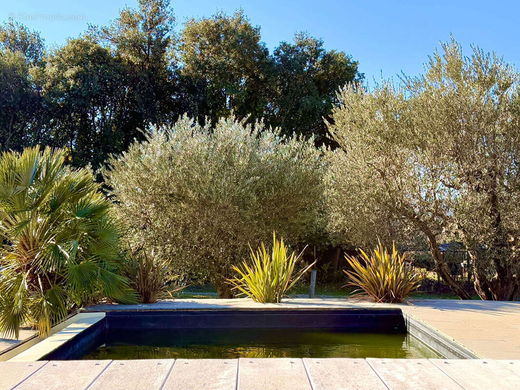 Maison à VAISON-LA-ROMAINE