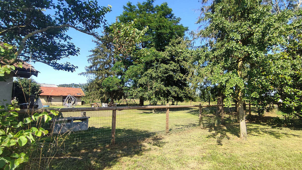 Maison à CHATILLON-SUR-CHALARONNE