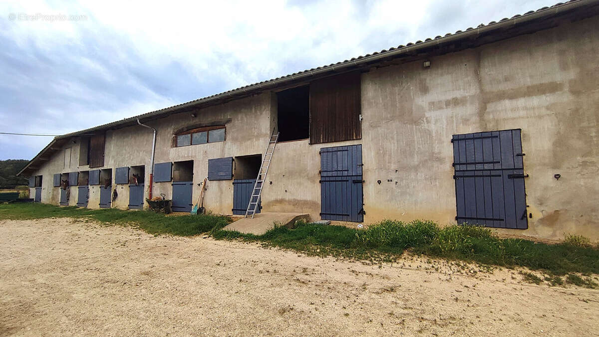 Maison à CHATILLON-SUR-CHALARONNE