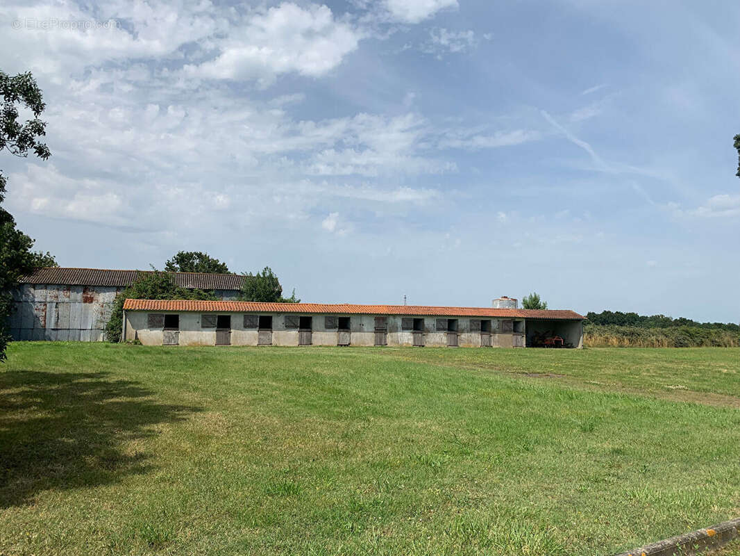 Maison à SAINT-FLORENT-LE-VIEIL