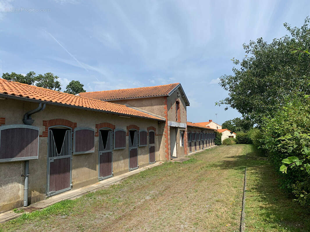 Maison à SAINT-FLORENT-LE-VIEIL