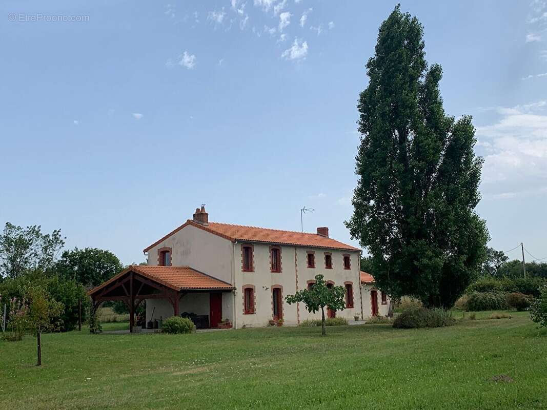 Maison à SAINT-FLORENT-LE-VIEIL