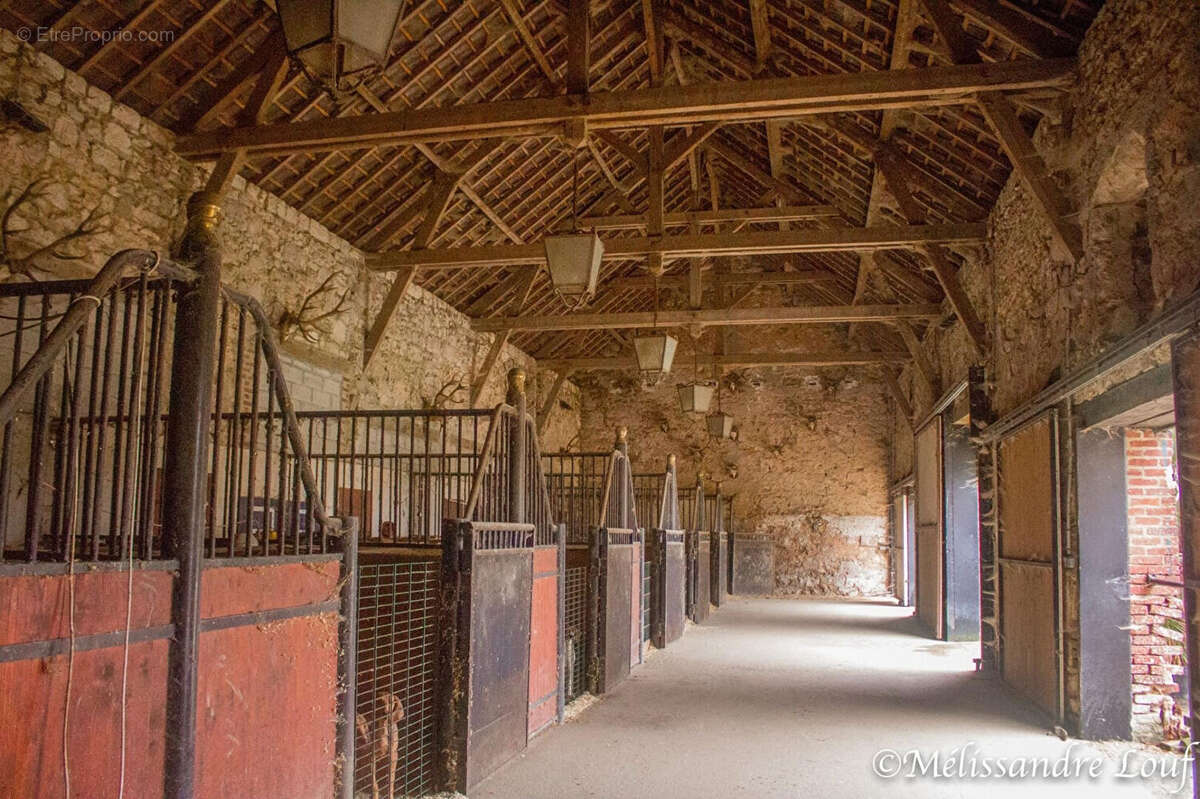 Maison à VILLERS-COTTERETS