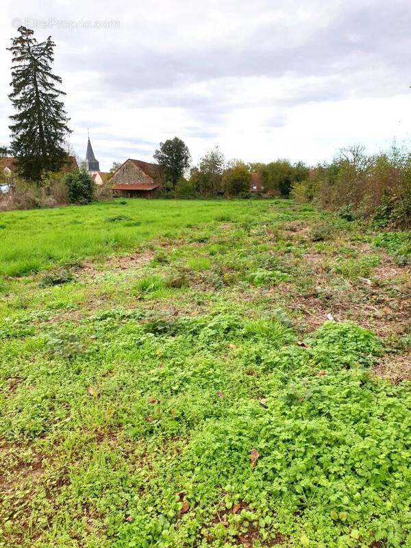 Terrain à POUILLY-EN-AUXOIS