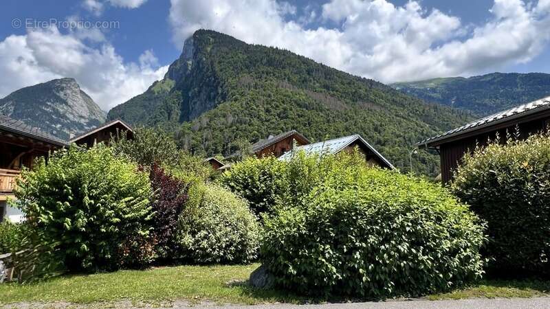 Terrain à SAMOENS