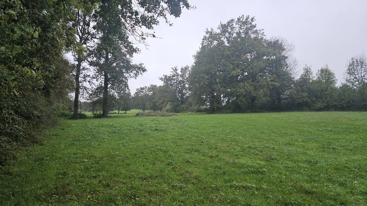 Terrain à SAINT-BONNET-DE-BELLAC