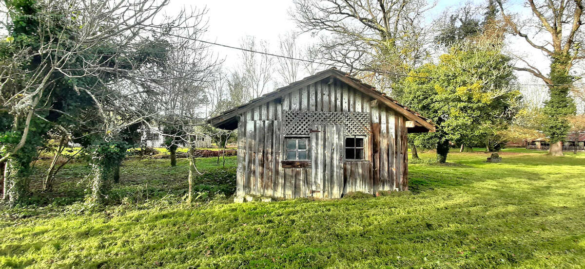 Maison à BAZAS