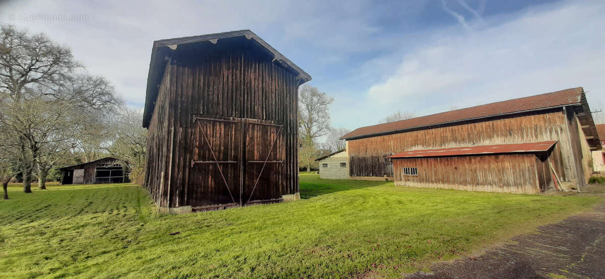 Maison à BAZAS