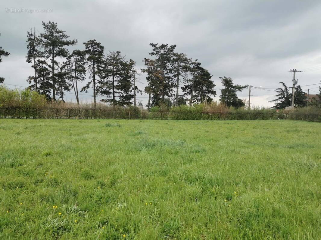 Terrain à SAINT-GERMAIN-DE-SALLES