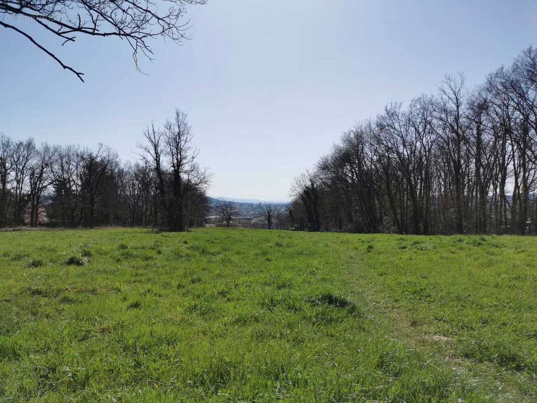 Terrain à CREUZIER-LE-VIEUX