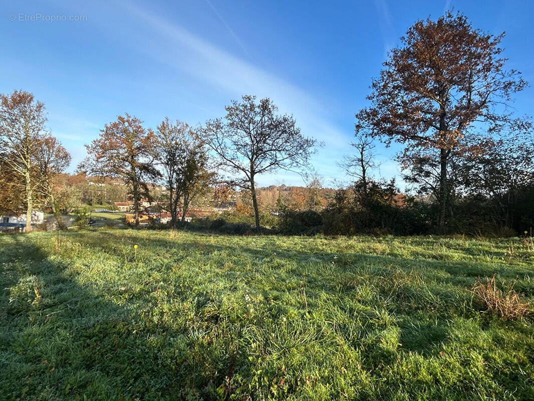 Terrain à SAINT-SEVER