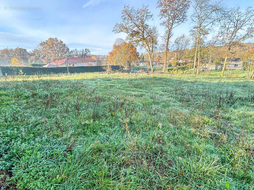 Terrain à SAINT-SEVER