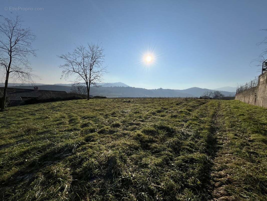 Terrain à LE PERREON