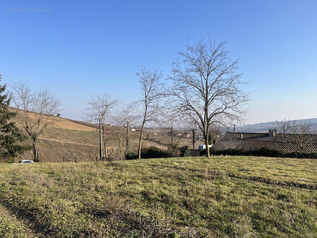 Terrain à LE PERREON