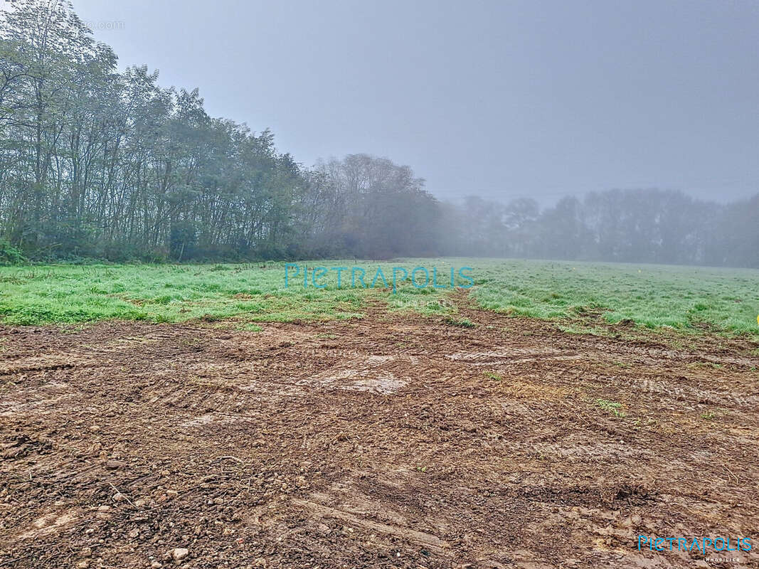 Terrain à MARLIEUX