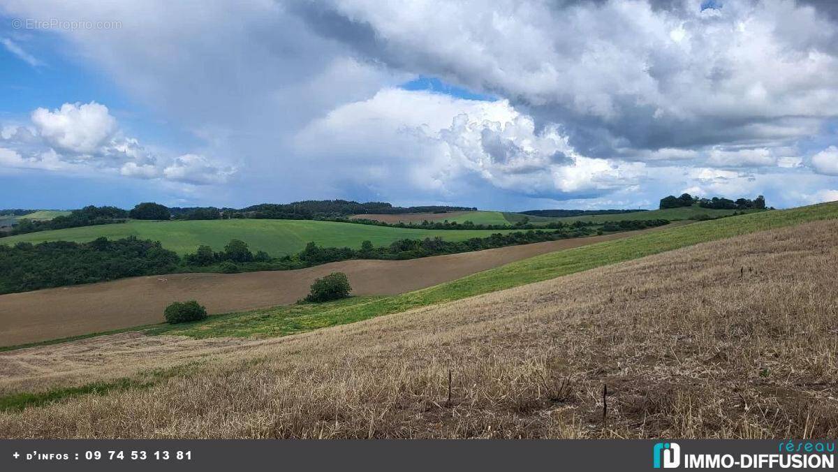 Terrain à BEAUMONT-DE-LOMAGNE