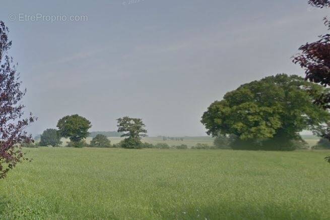 Terrain à LONGUEVAL