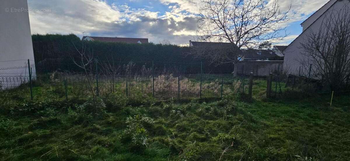 Terrain à DAMMARTIN-EN-GOELE