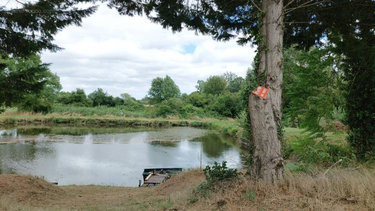 Terrain à AVRILLE-LES-PONCEAUX