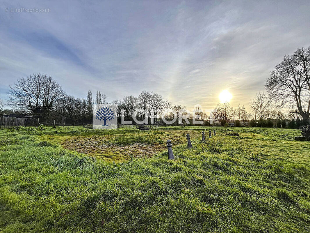 Terrain à CHATILLON-SUR-THOUET