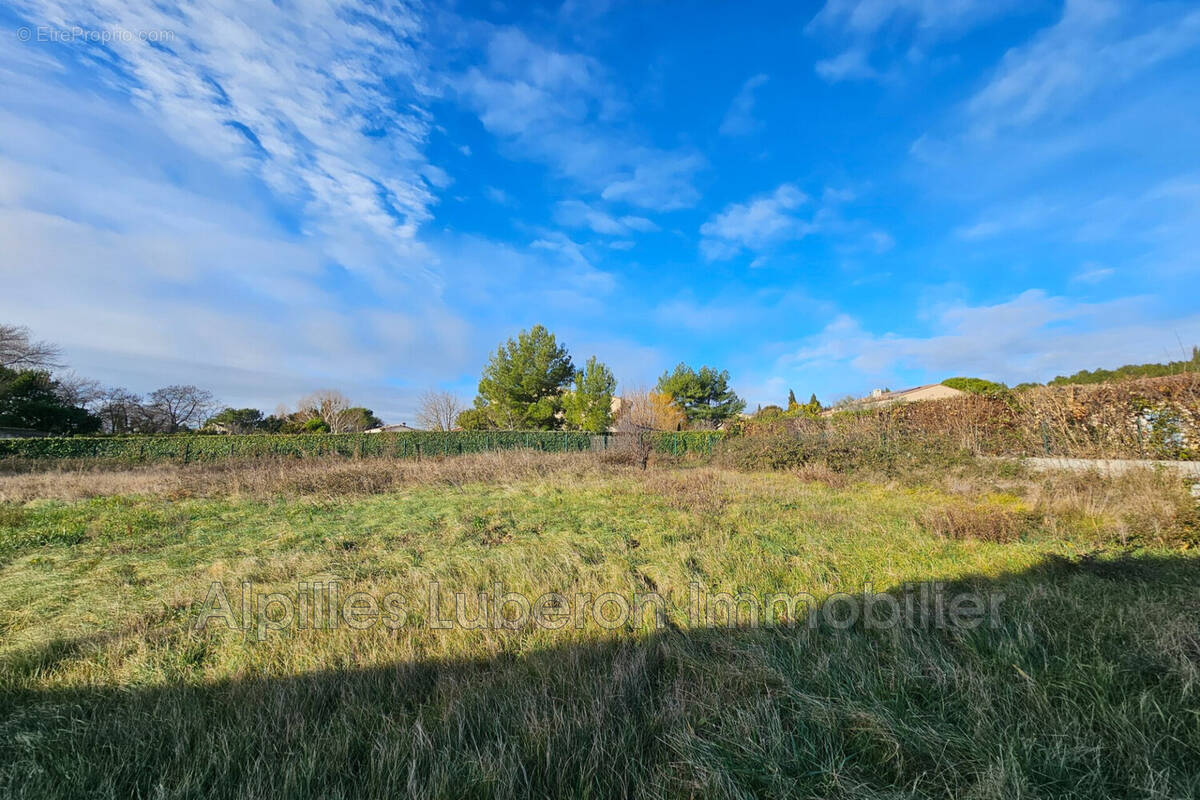 Terrain à PARADOU