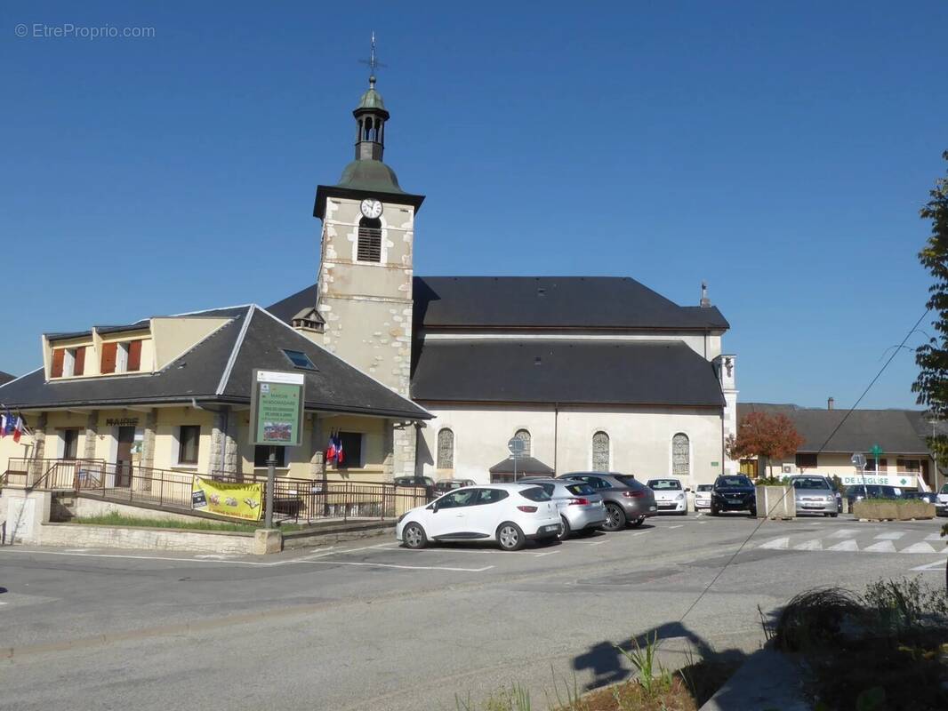 Commerce à SAINT-FELIX