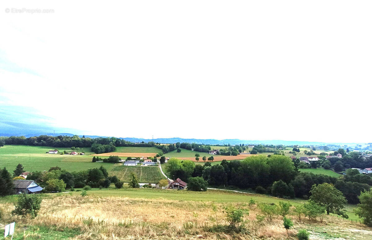 Terrain à DOMESSIN