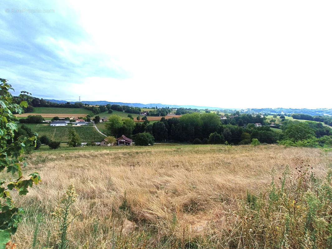 Terrain à DOMESSIN