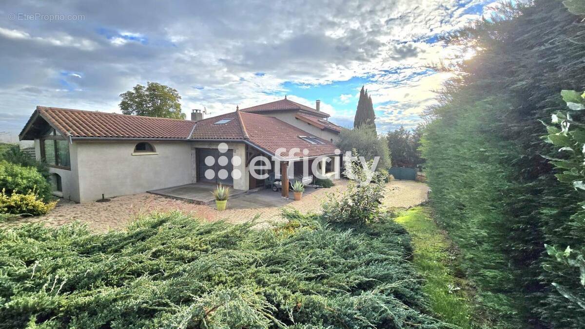 Maison à L&#039;ARBRESLE