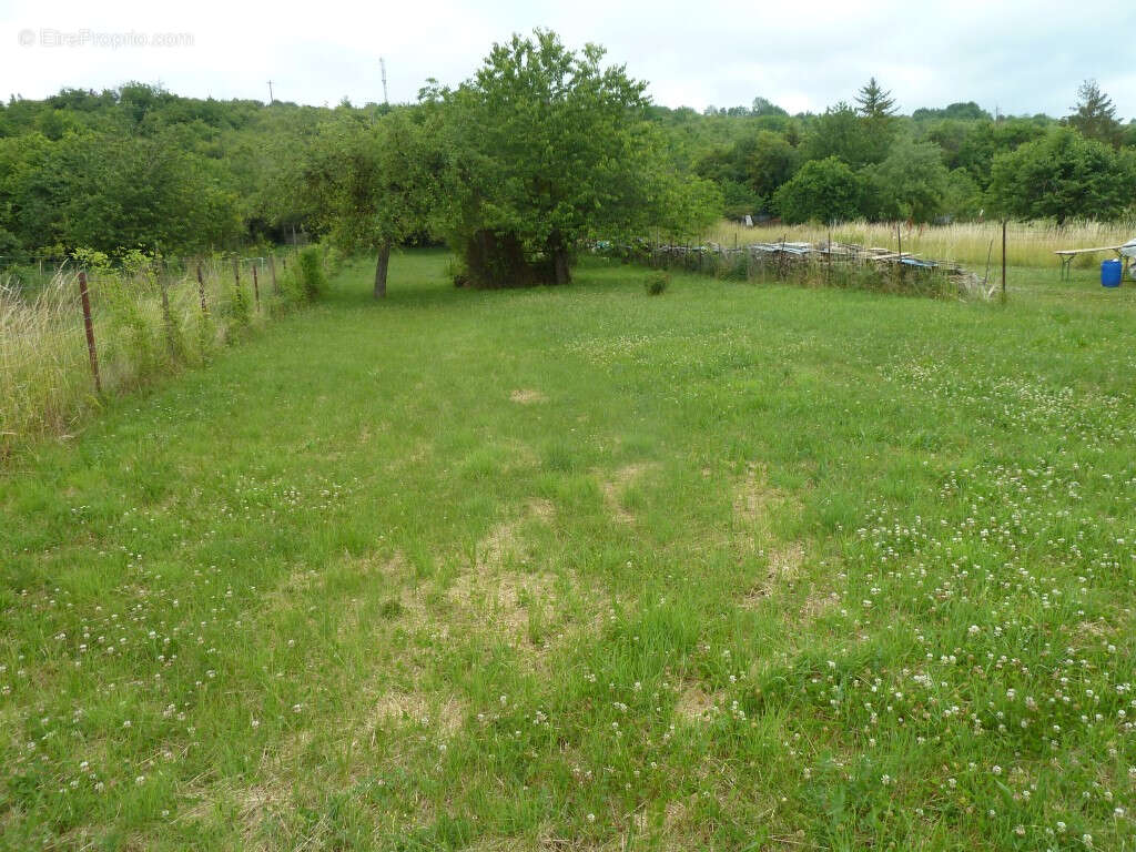 Terrain à BELLEVILLE-SUR-MEUSE