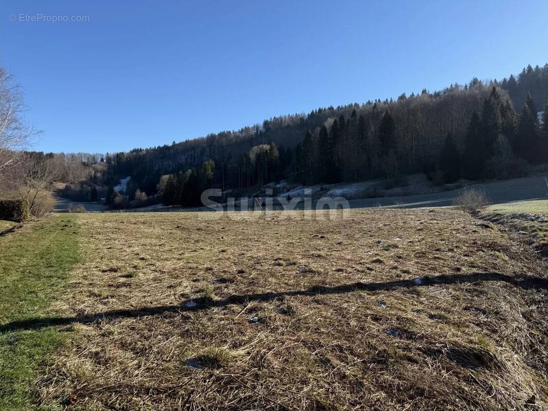 Terrain à FONCINE-LE-HAUT