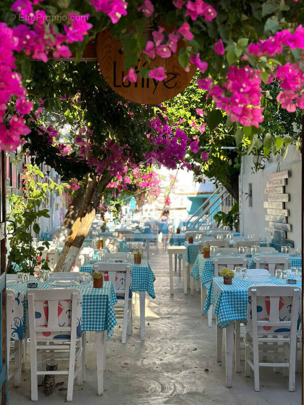 Autre à L&#039;ISLE-SUR-LA-SORGUE