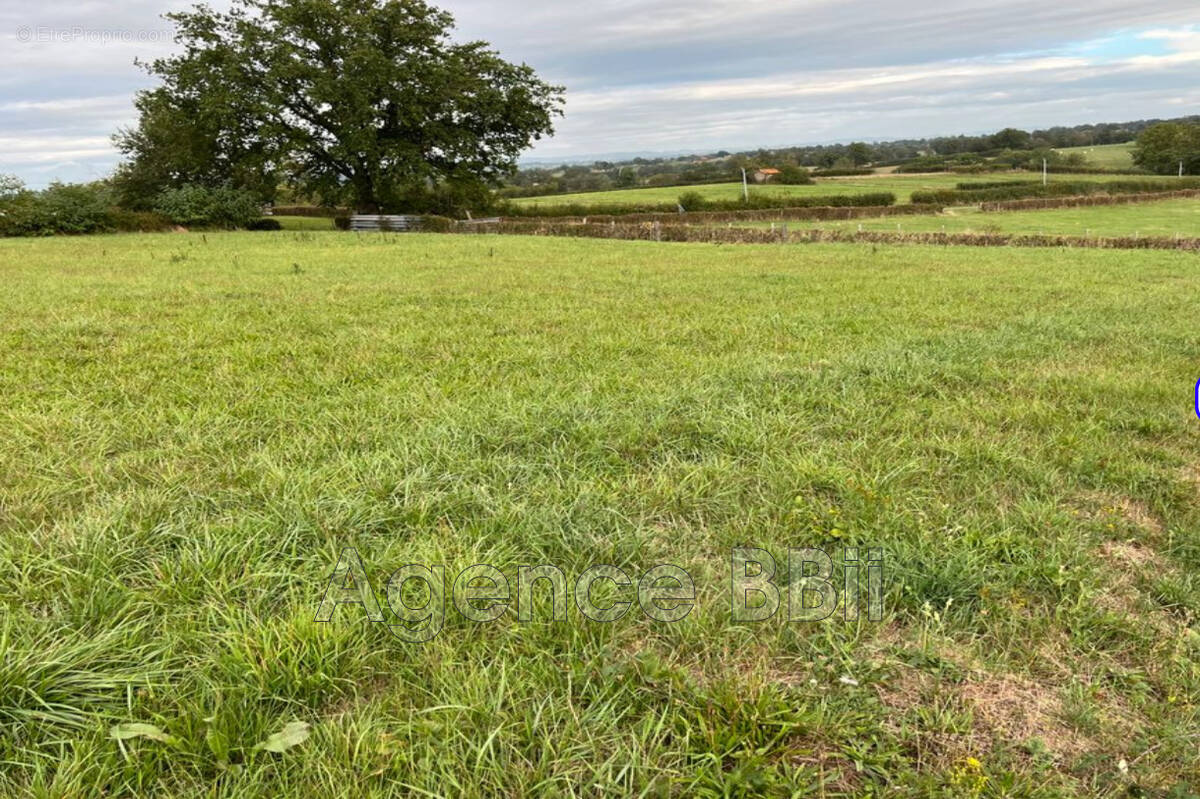 Terrain à MELAY