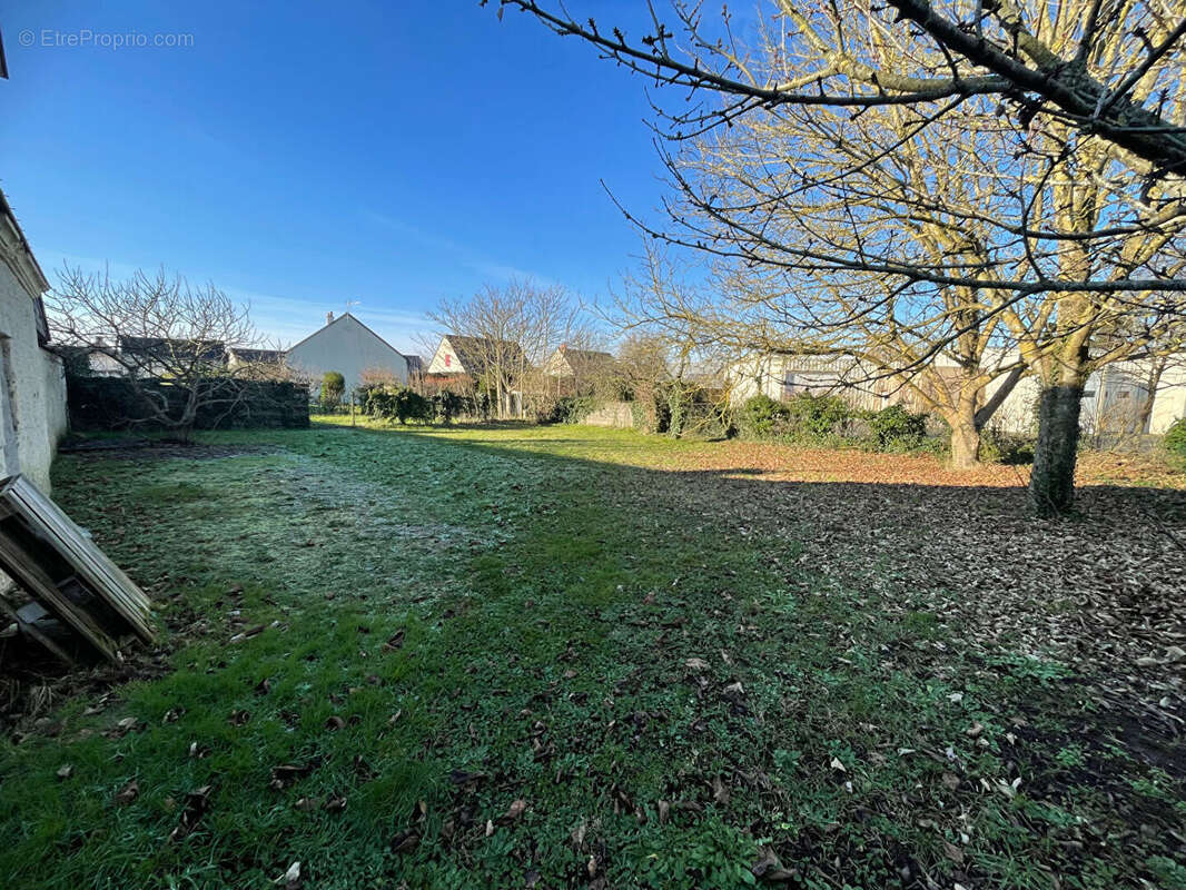 Terrain à SAINT-MATHURIN-SUR-LOIRE