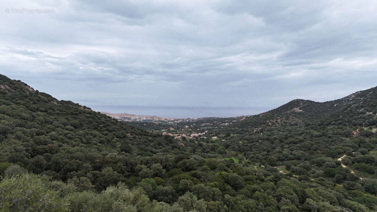 Terrain à SANTA-REPARATA-DI-BALAGNA