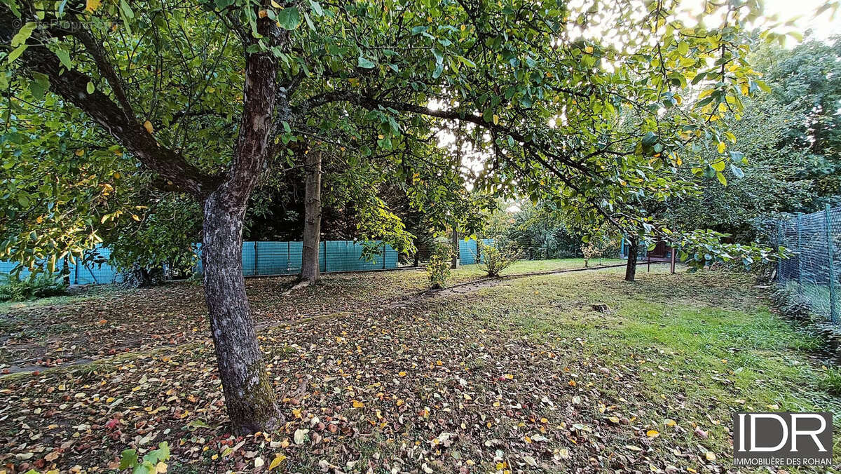 Abris de jardin au fond - Maison à PHALSBOURG