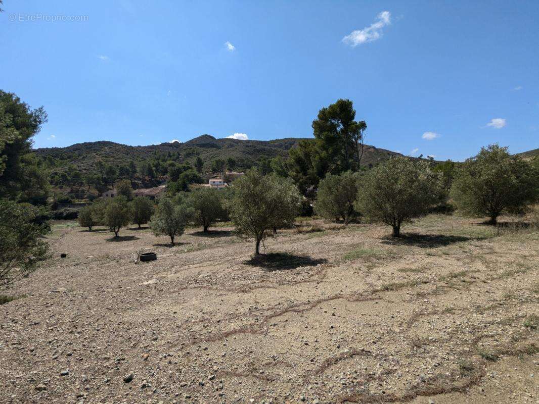 Terrain à MARSEILLE-16E