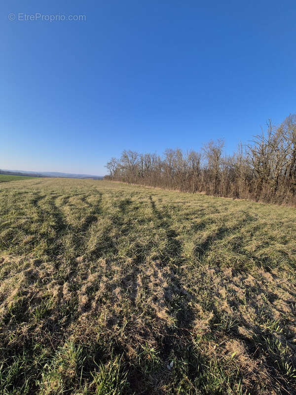 Terrain à CAUSSADE