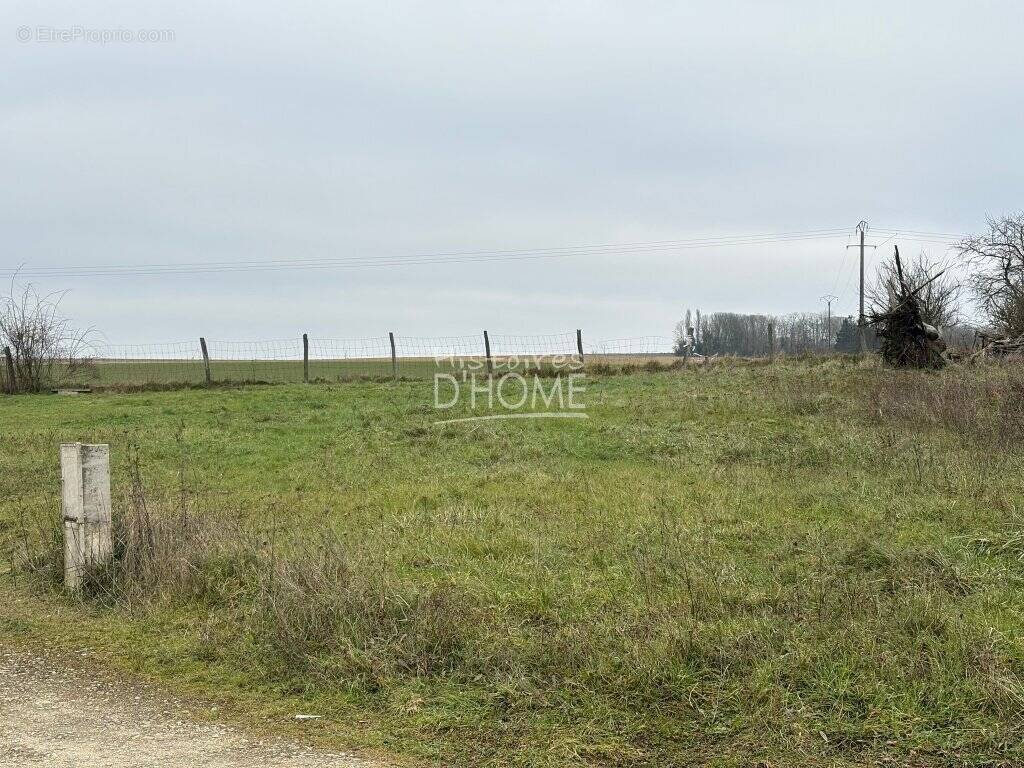 Terrain à LA FERTE-GAUCHER