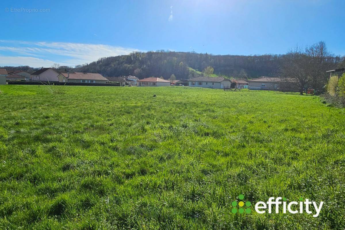 Terrain à CHAMPIER