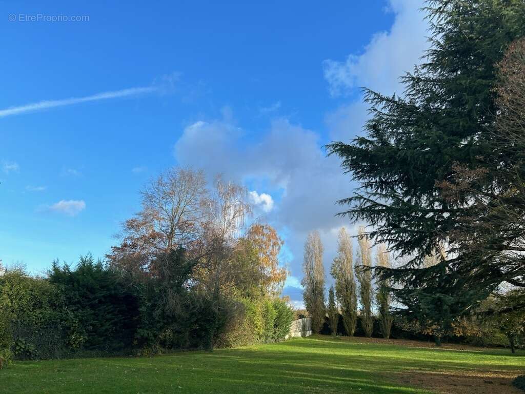 Terrain à SAULX-LES-CHARTREUX