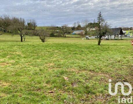 Photo 1 - Terrain à CHABRIGNAC