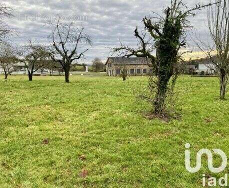 Photo 2 - Terrain à CHABRIGNAC