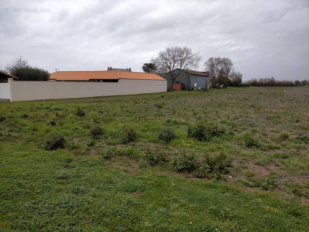 Terrain à MARENNES